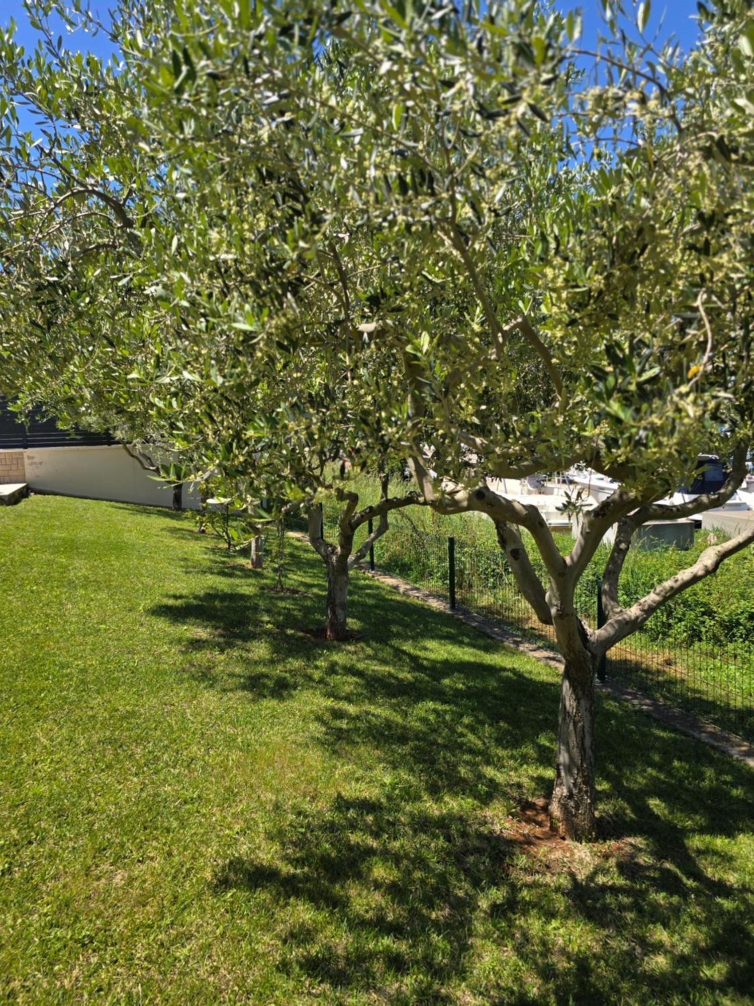 Olive Garden, Apartment With A Private Pool Банджоле Экстерьер фото